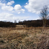 Edgelands Medium Format