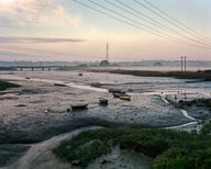 Estuarine Mud